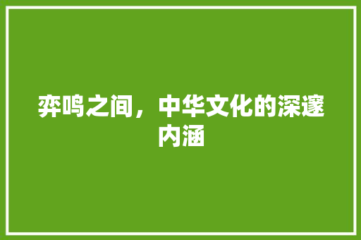 弈鸣之间，中华文化的深邃内涵