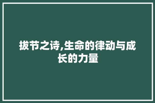 拔节之诗,生命的律动与成长的力量