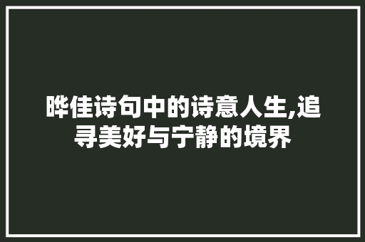 晔佳诗句中的诗意人生,追寻美好与宁静的境界 工作总结