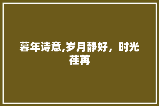 暮年诗意,岁月静好，时光荏苒