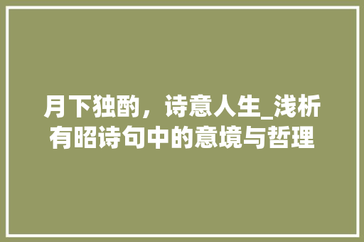 月下独酌，诗意人生_浅析有昭诗句中的意境与哲理