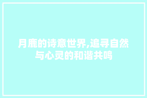 月鹿的诗意世界,追寻自然与心灵的和谐共鸣