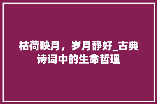 枯荷映月，岁月静好_古典诗词中的生命哲理