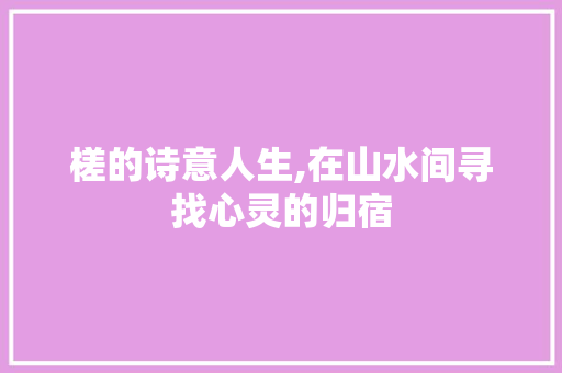 槎的诗意人生,在山水间寻找心灵的归宿 工作总结