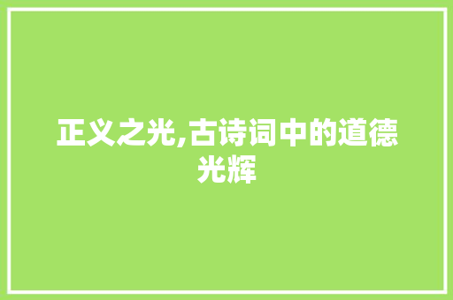 正义之光,古诗词中的道德光辉 商业文稿