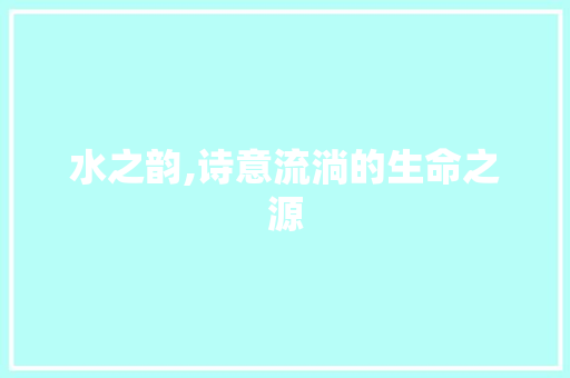 水之韵,诗意流淌的生命之源 工作报告