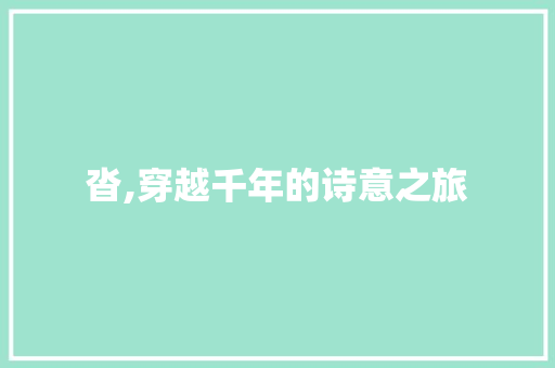 沓,穿越千年的诗意之旅