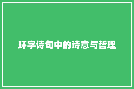环字诗句中的诗意与哲理