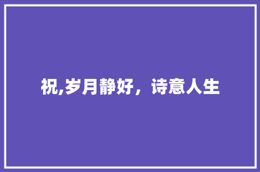 祝,岁月静好，诗意人生