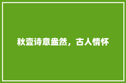 秋壹诗意盎然，古人情怀