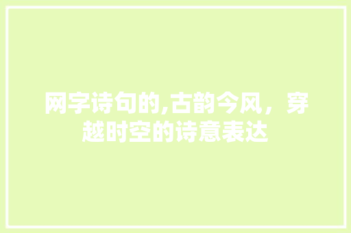 网字诗句的,古韵今风，穿越时空的诗意表达
