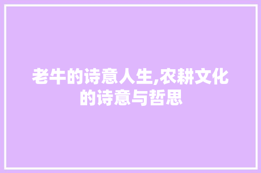 老牛的诗意人生,农耕文化的诗意与哲思