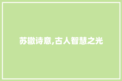 苏辙诗意,古人智慧之光