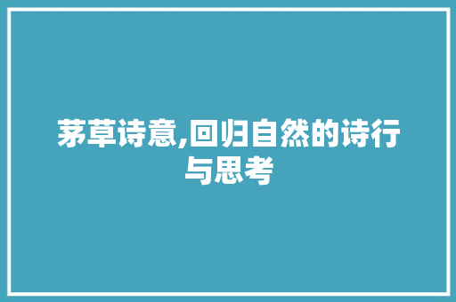茅草诗意,回归自然的诗行与思考