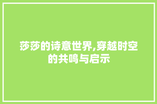 莎莎的诗意世界,穿越时空的共鸣与启示