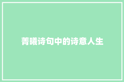 菁曦诗句中的诗意人生