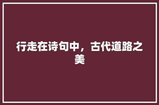行走在诗句中，古代道路之美