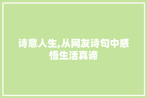 诗意人生,从网友诗句中感悟生活真谛