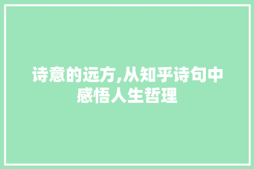 诗意的远方,从知乎诗句中感悟人生哲理