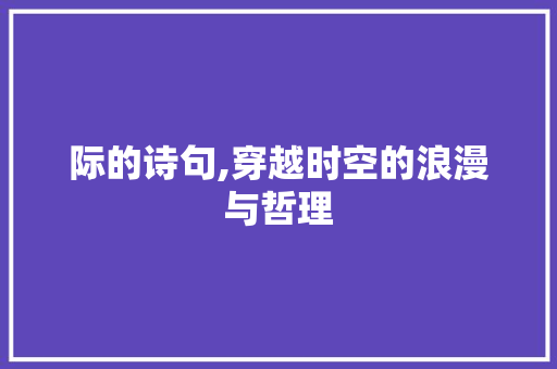 际的诗句,穿越时空的浪漫与哲理