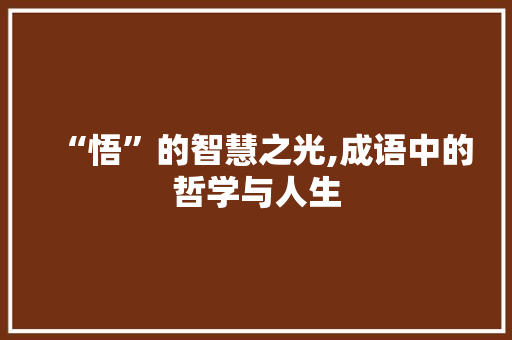 “悟”的智慧之光,成语中的哲学与人生 生活随笔