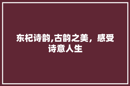 东杞诗韵,古韵之美，感受诗意人生