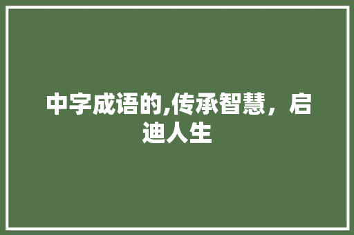 中字成语的,传承智慧，启迪人生