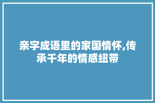 亲字成语里的家国情怀,传承千年的情感纽带