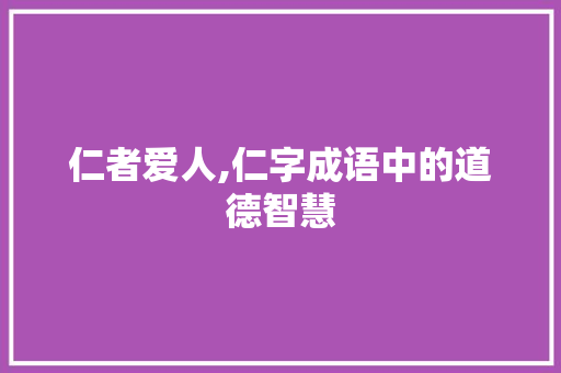 仁者爱人,仁字成语中的道德智慧