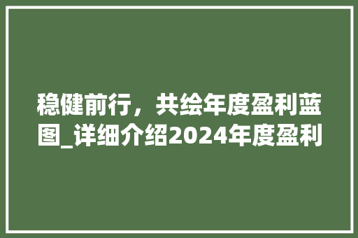 稳健前行，共绘年度盈利蓝图_详细介绍2024年度盈利计划 工作总结