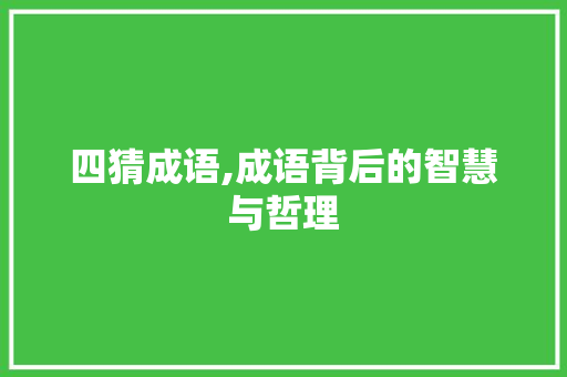 四猜成语,成语背后的智慧与哲理 工作报告