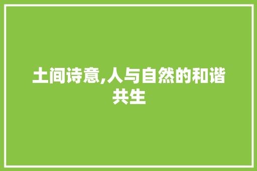 土间诗意,人与自然的和谐共生