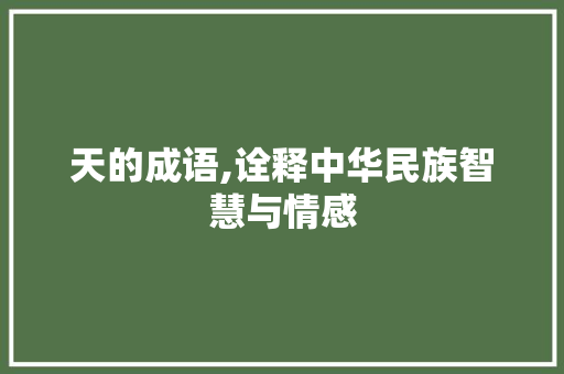 天的成语,诠释中华民族智慧与情感