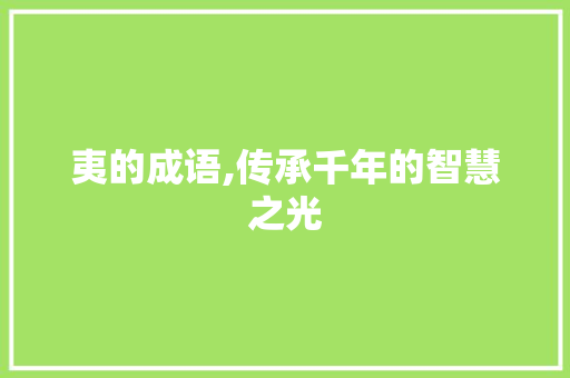 夷的成语,传承千年的智慧之光 工作报告