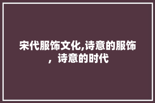 宋代服饰文化,诗意的服饰，诗意的时代 工作总结