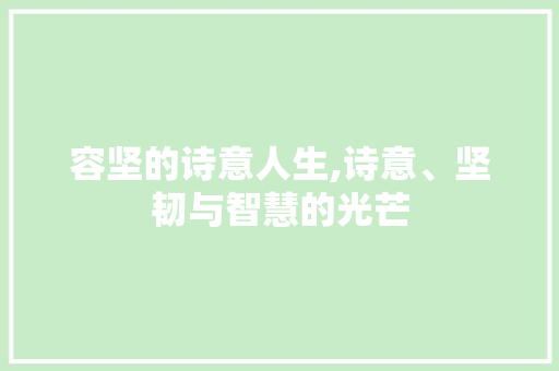 容坚的诗意人生,诗意、坚韧与智慧的光芒