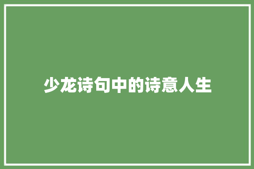 少龙诗句中的诗意人生