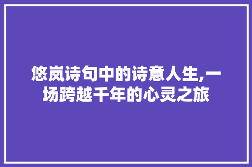 悠岚诗句中的诗意人生,一场跨越千年的心灵之旅
