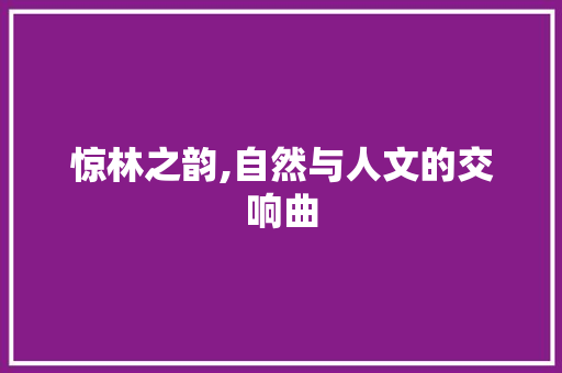惊林之韵,自然与人文的交响曲 生活感悟