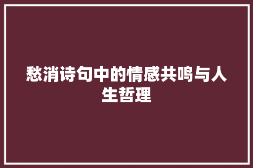 愁消诗句中的情感共鸣与人生哲理 商业文稿