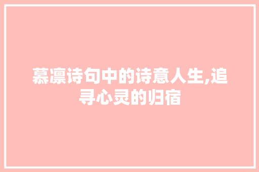 慕凛诗句中的诗意人生,追寻心灵的归宿