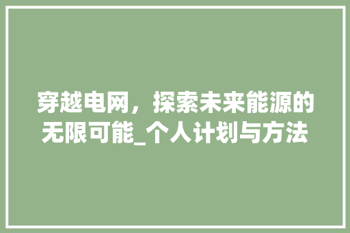 穿越电网，探索未来能源的无限可能_个人计划与方法