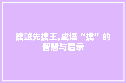 擒贼先擒王,成语“擒”的智慧与启示