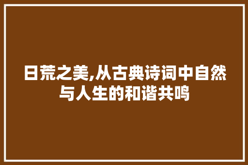 日荒之美,从古典诗词中自然与人生的和谐共鸣 采访稿