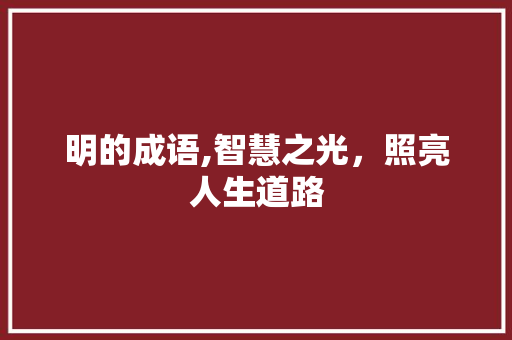 明的成语,智慧之光，照亮人生道路