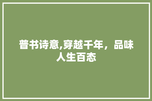 普书诗意,穿越千年，品味人生百态 工作总结