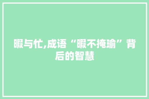 暇与忙,成语“暇不掩瑜”背后的智慧