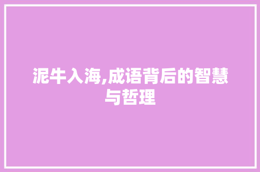 泥牛入海,成语背后的智慧与哲理 工作报告