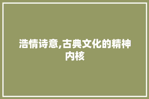 浩情诗意,古典文化的精神内核