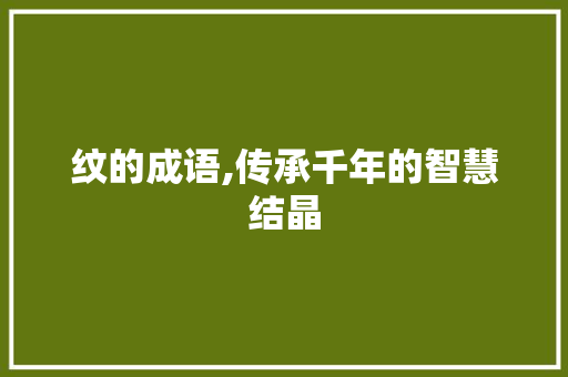 纹的成语,传承千年的智慧结晶